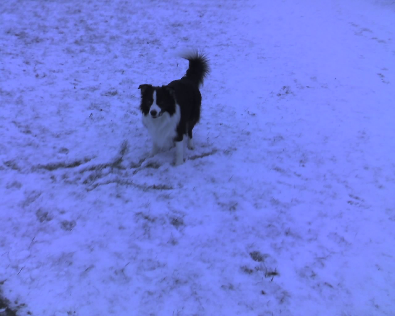 img015.jpg